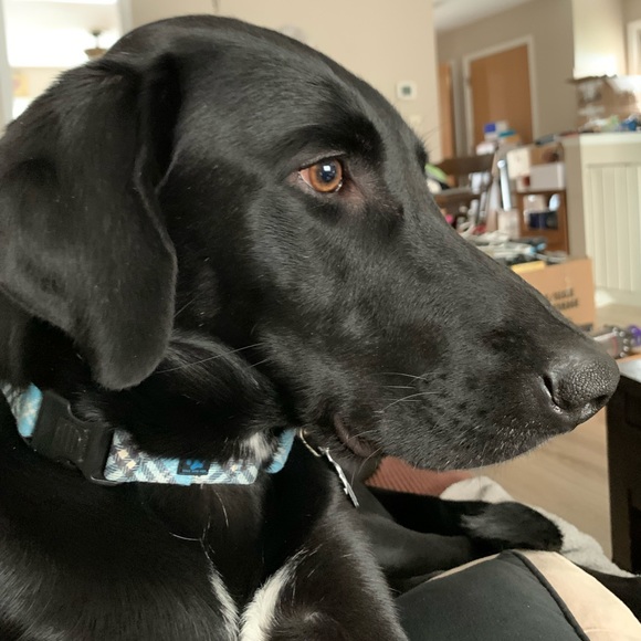 Like to BOOKMARK - Picture 4 of 5